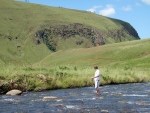 Western King on the Lotheni River