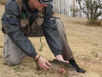 The Release