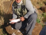 Nick With A Rainbow