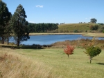 The Trout Dam
