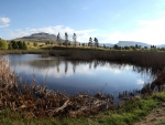 Glengarry's Bass Dam