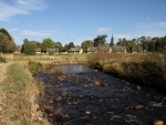 The Little Mooi In Glengarry