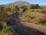 The Little Mooi In Glengarry