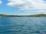 View of the cottages
