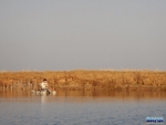 Neill fishing Trelevans